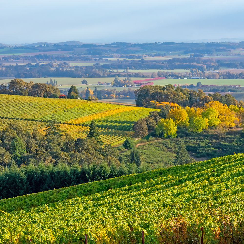تور زمینی همراه با راهنما از سیاتل تا سانفرانسیسکو